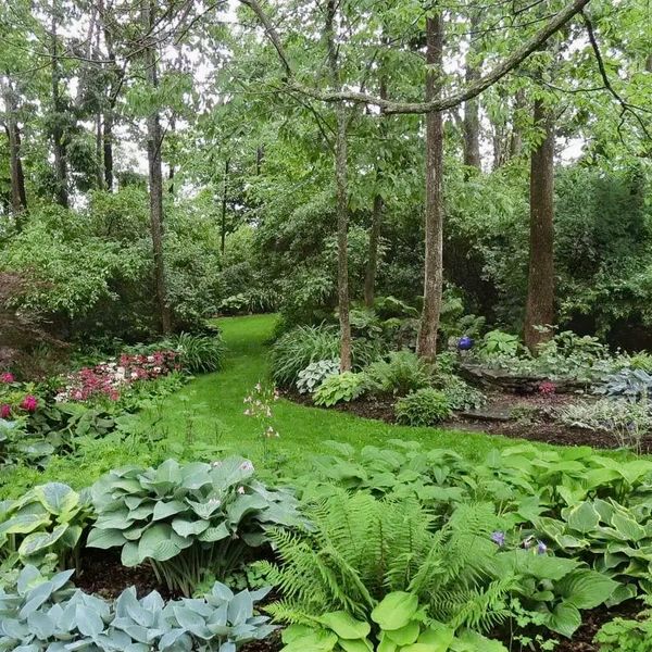 Landscape Maintenance