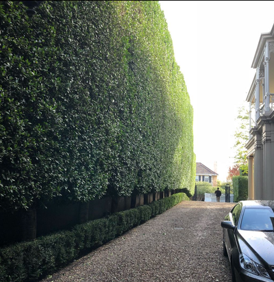 Screen Shot 2022 09 22 at 9