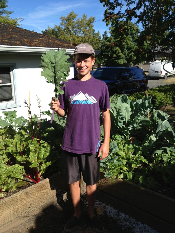 After starting my apprenticeship with Dave my garden began the thrive