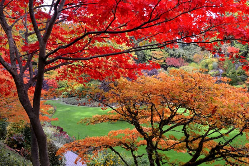 The awe-inspiring beauty of the gardens drove me towards greater goals.