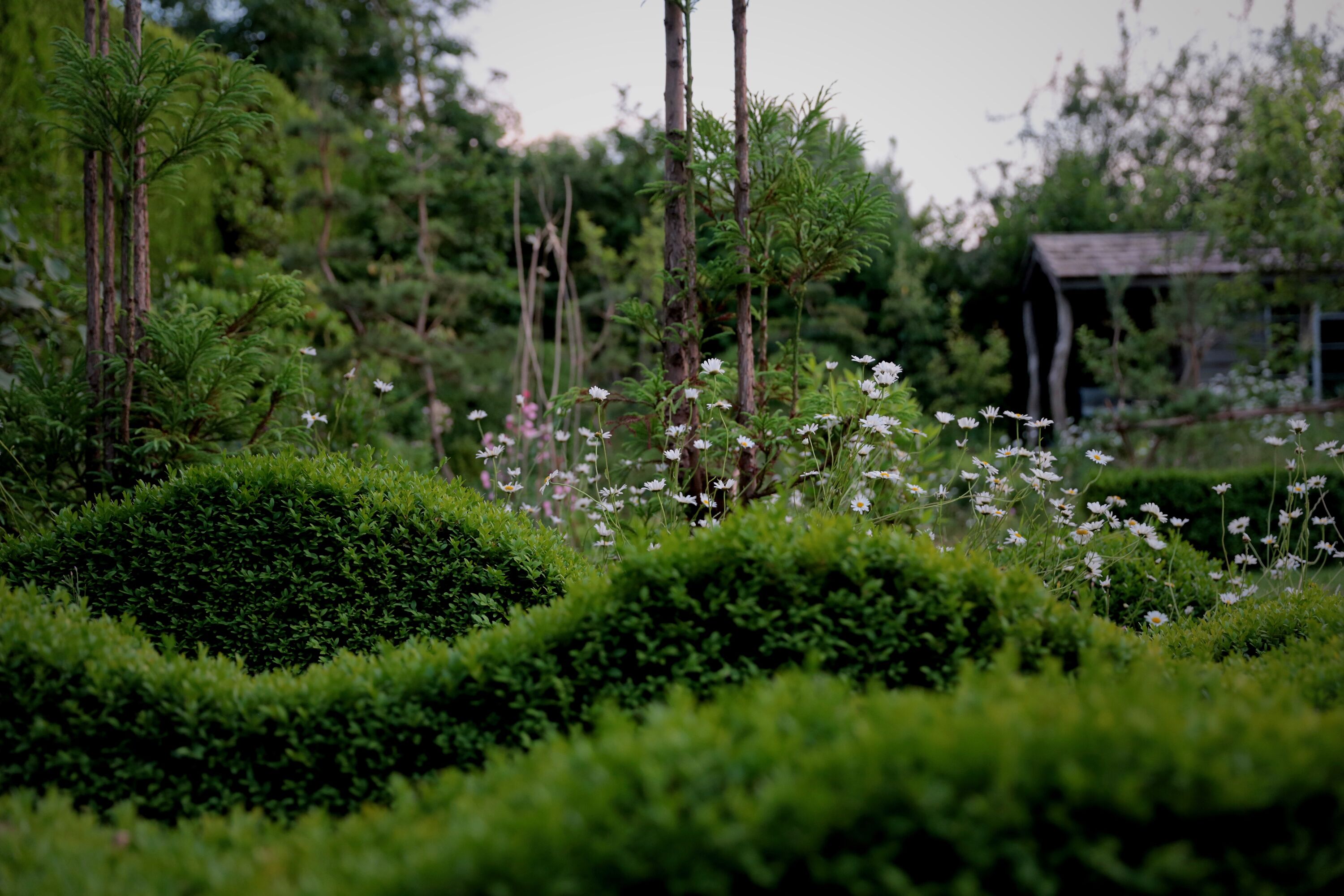 How Electric Equipment Is Rewriting the Suburban Soundtrack